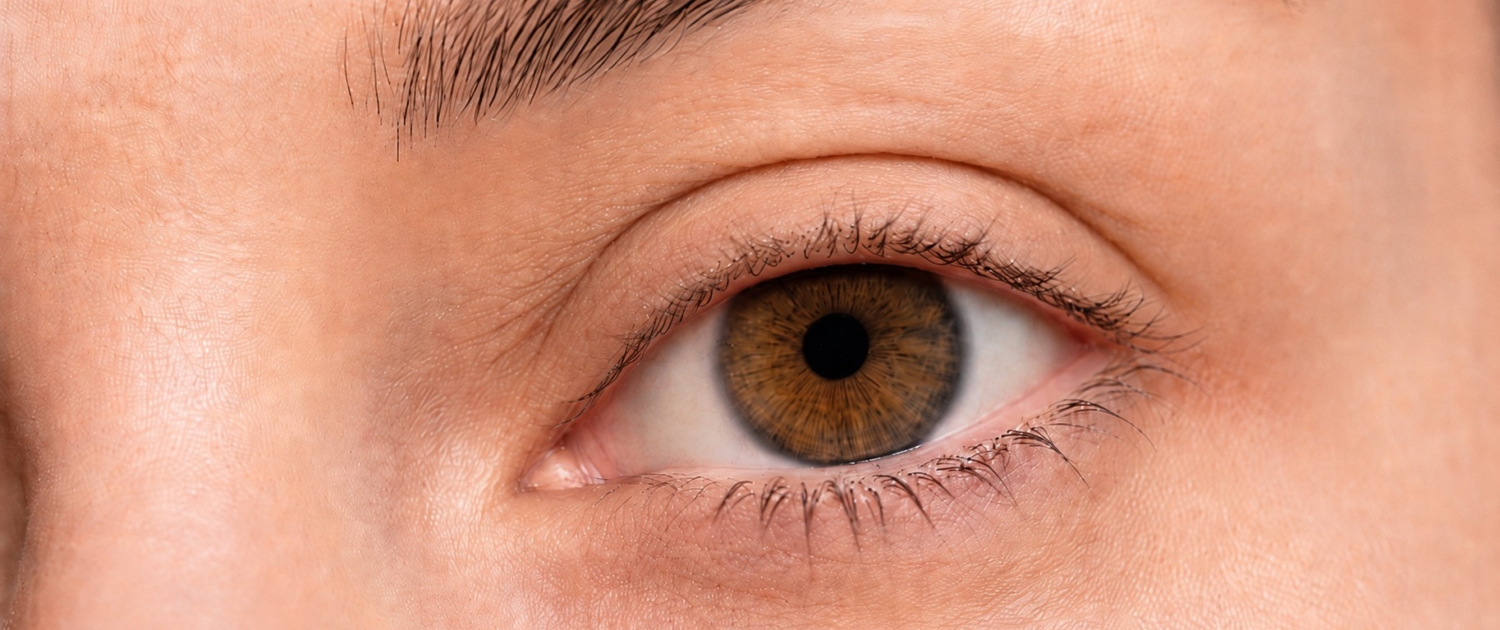 Detail řas před ošetřením korejským lash liftingem v Kosmetickém studiu Tilia ve Šlapanicích